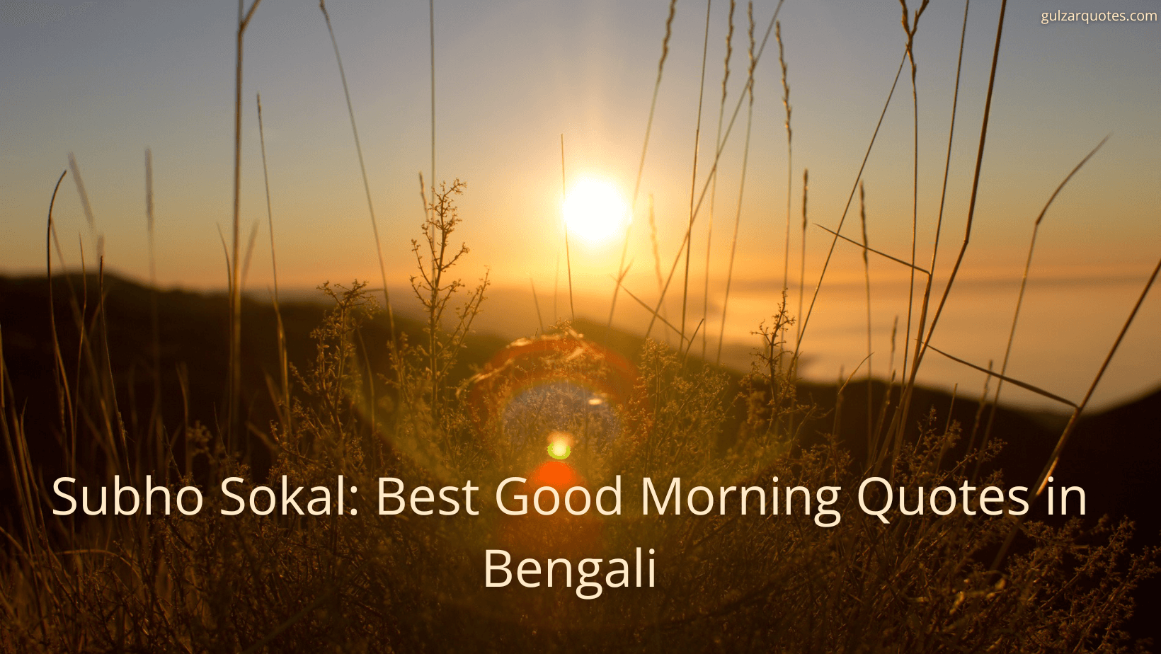 Read more about the article Best 55 Good Morning Quotes in Bengali – Rise to Positivity